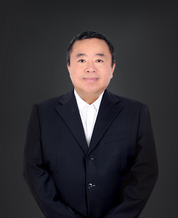 Wang Biqing