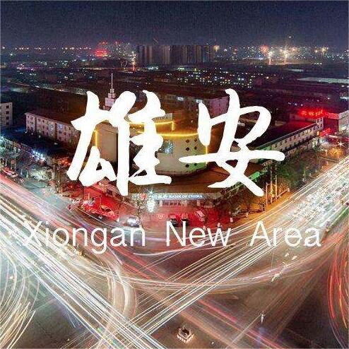 JAVY’s Zhang Li Attends Expert Review Meeting on Convertible Bond Issuance at Xiongan Equity Exchange