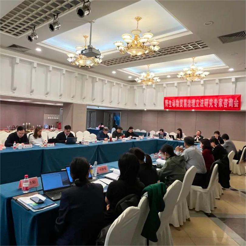 Senior Partner Wang Wenyong Participated in Expert Consultation Meeting on the Legislative Study of Wildlife Trade Regulation