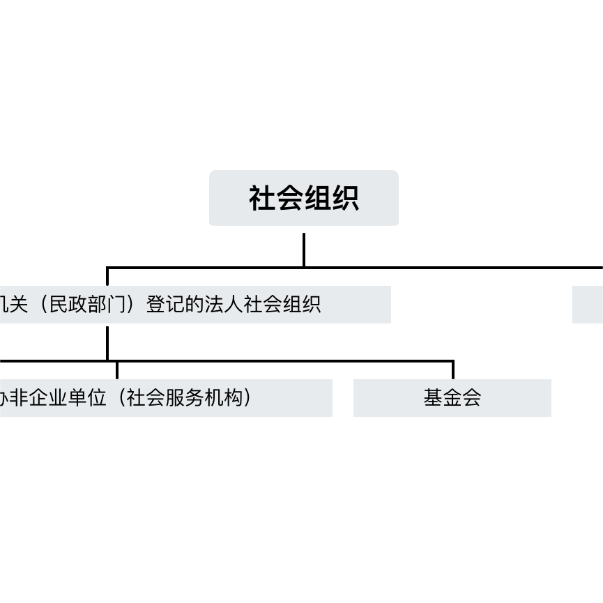  JAVY’s Insight on Compliance: Overview of the Compliance Development of Social Organizations in China