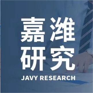 Limitations on the rights of shareholders in respect of defective capital contributions and the legal consequences thereof