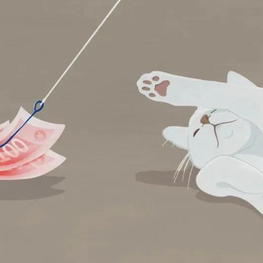 Partner Wei Wei was interviewed by Sixth Tone, explaining the predicament of free adoption ‘cat loan’.