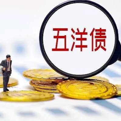 专家讲堂 | “五洋债”案例点评——加强监管与律所责任如何平衡？（上）