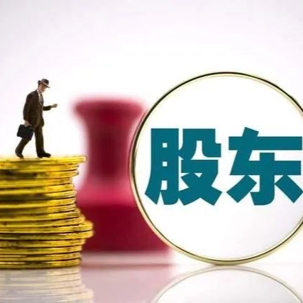 嘉维研究 | 执行系列之四：如何追加股东为被执行人（第一篇）