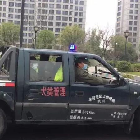 嘉潍研究 | 地方法规规章中的“没收或捕杀犬只”规定的合法性存疑
