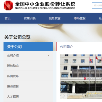 嘉律研究 | 魏巍、田秋盈：新三板定向增发证券虚假陈述责任纠纷实务解析（一）——案件定性及法律适用